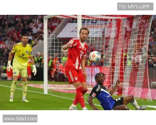 汉堡主场失利，冲超希望渺茫